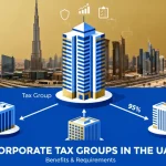 Corporate Tax Groups