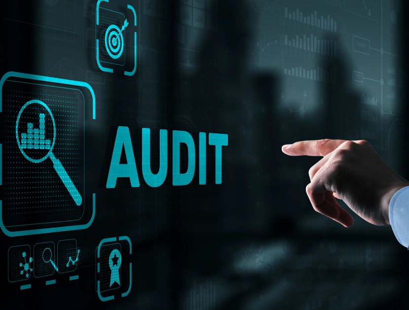 Audit File for Each Tax Taxnews