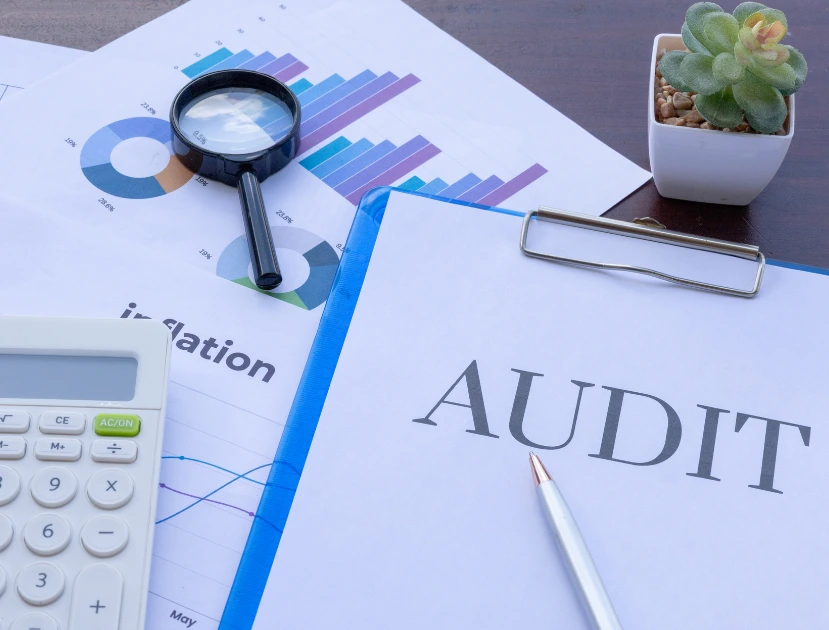 Mandatory Audit vs Voluntary Audit
