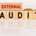 External Audit Firms Tax News