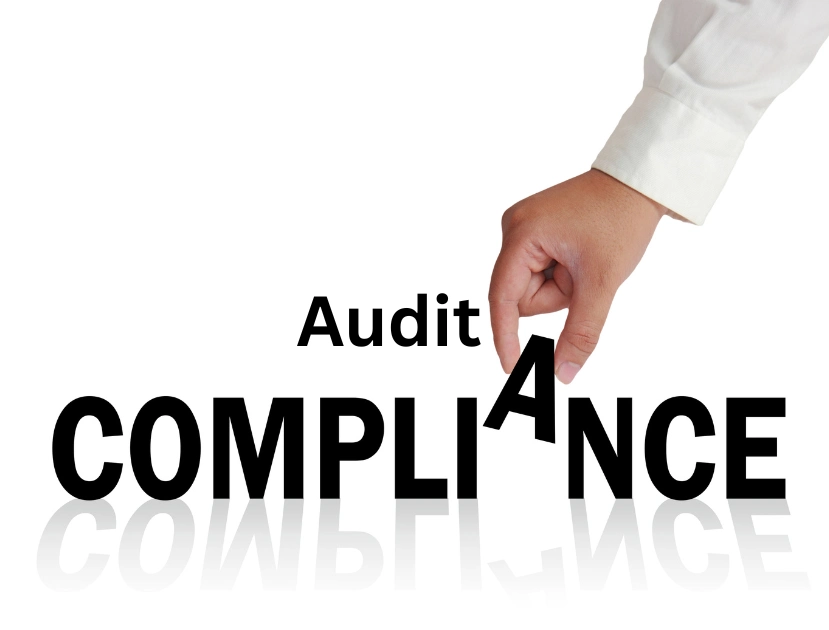 Audit Compliance for Free Zones Tax News