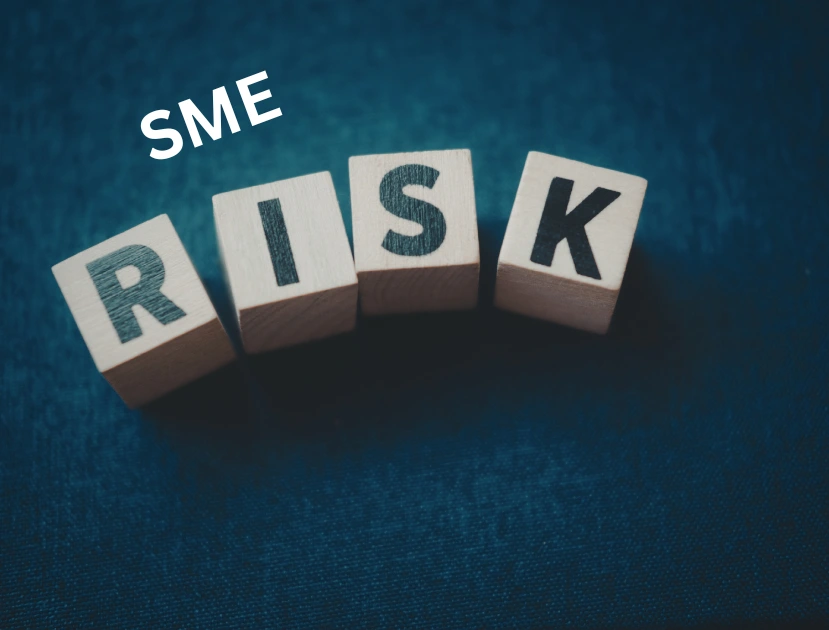 SME Risk Management Strategies Tax News