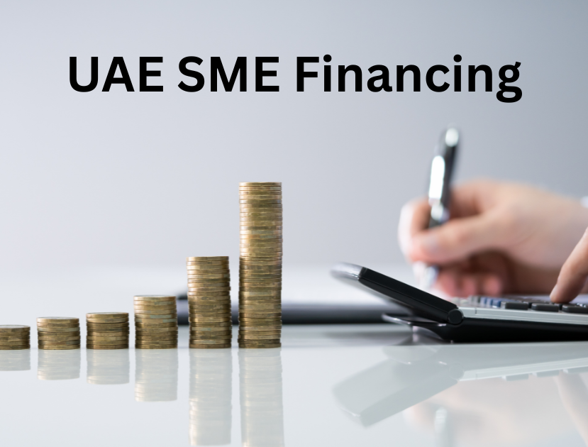 UAE SME Financing Tax News